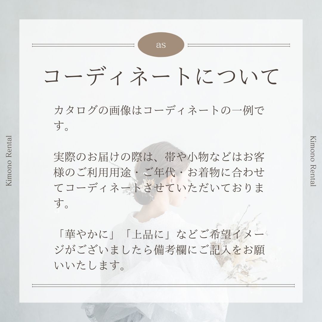 訪問着・附下げレンタル フルセット HT-0163-Lサイズ
